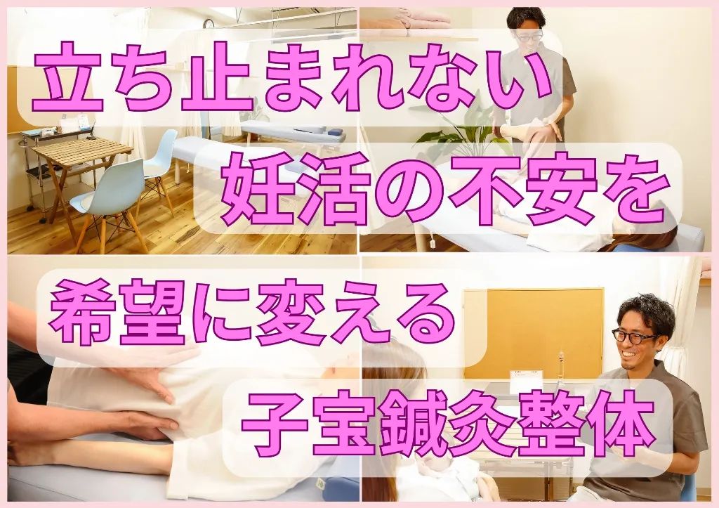 【子宝鍼灸整体】岳鍼灸整骨院
