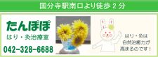 たんぽぽはり灸治療室