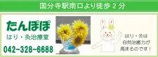 たんぽぽはり灸治療室