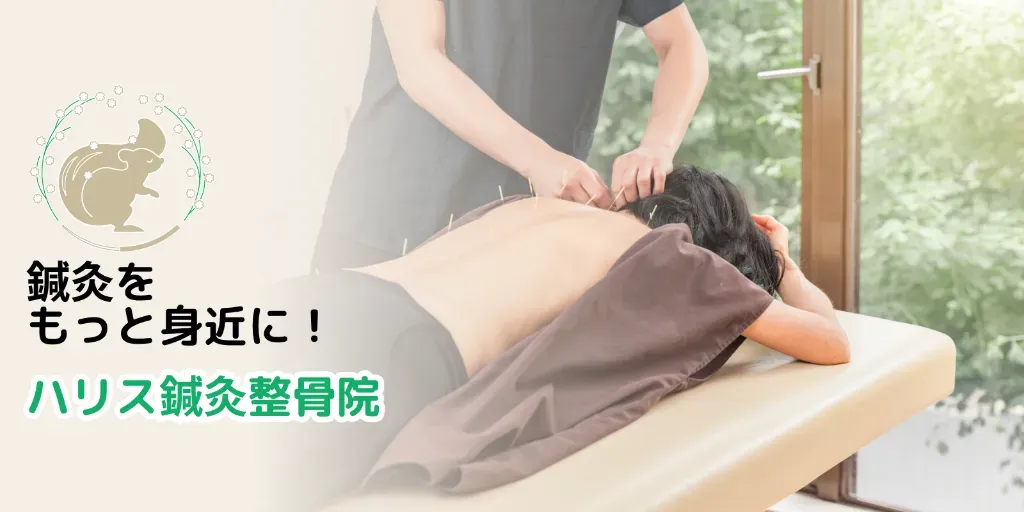 ハリス鍼灸整骨院