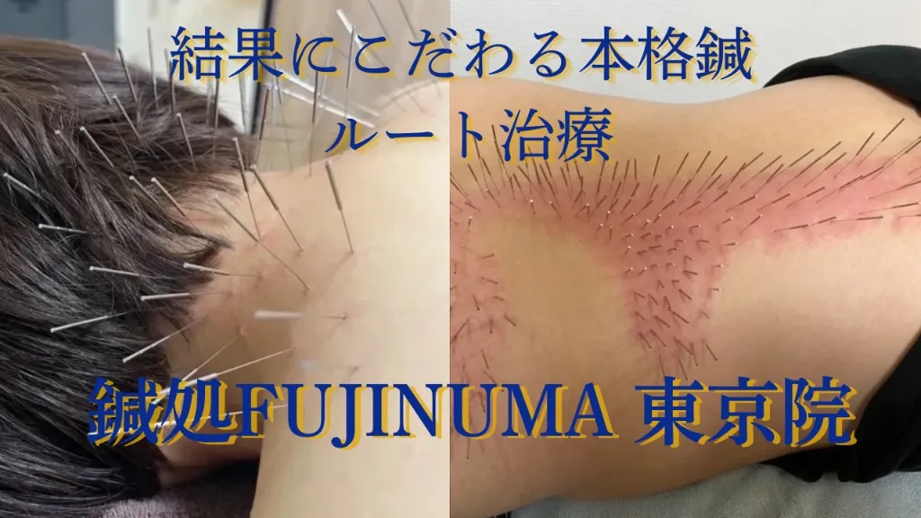 鍼処FUJINUMA 東京院