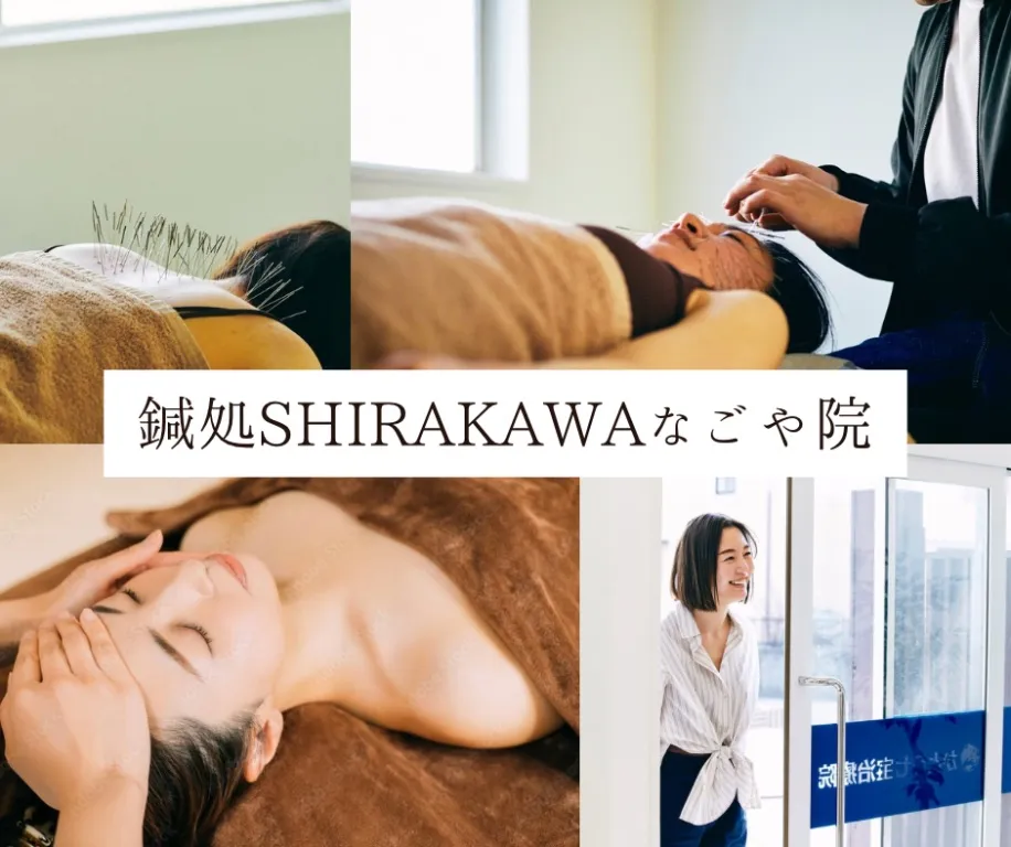 鍼処SHIRAKAWAなごや院千種【ルート治療専門院】
