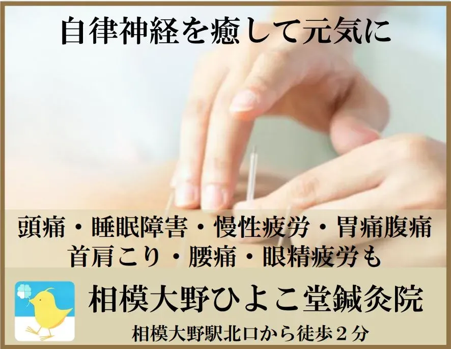 相模大野ひよこ堂鍼灸院