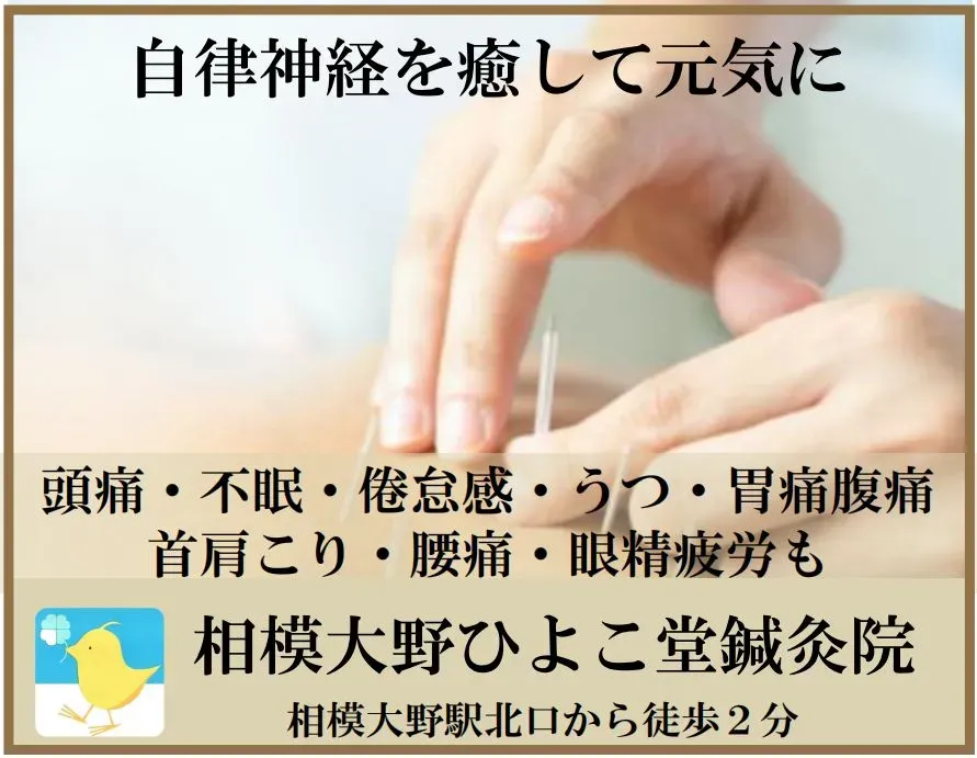 相模大野ひよこ堂鍼灸院
