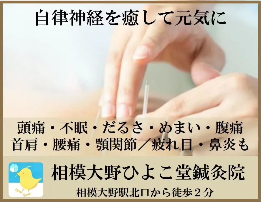 相模大野ひよこ堂鍼灸院