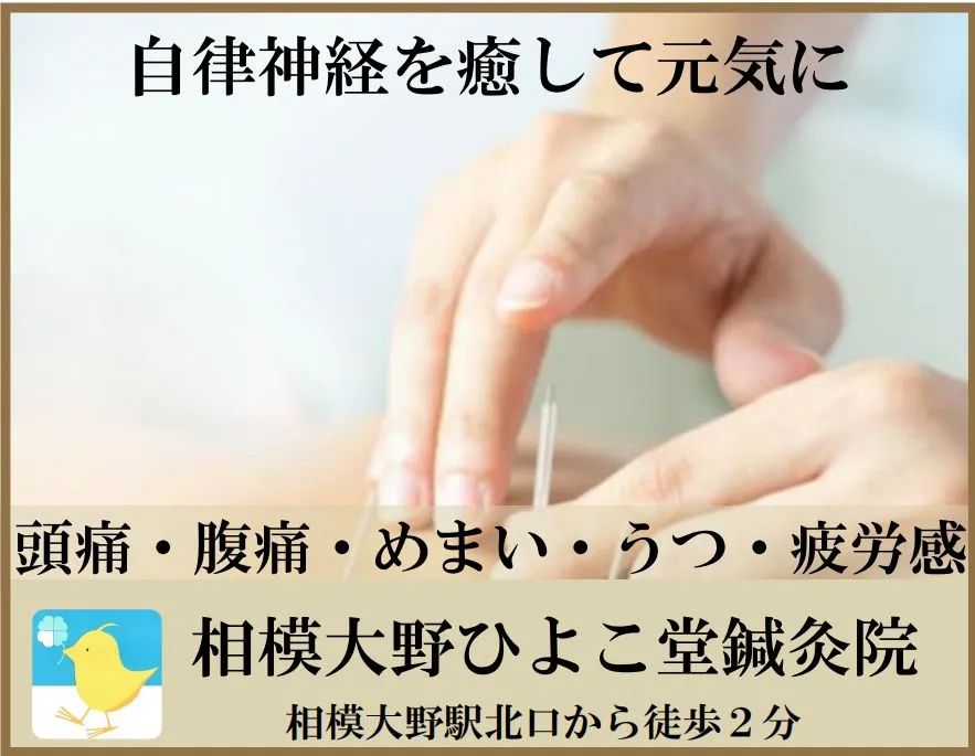 相模大野ひよこ堂鍼灸院