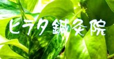 ヒラタ鍼灸院