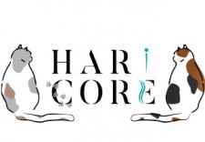 こいわ鍼灸院HARICORE