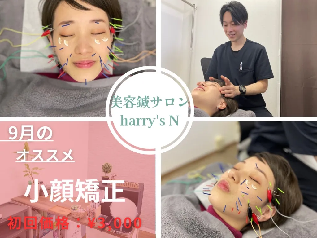美容鍼サロン　harry's N