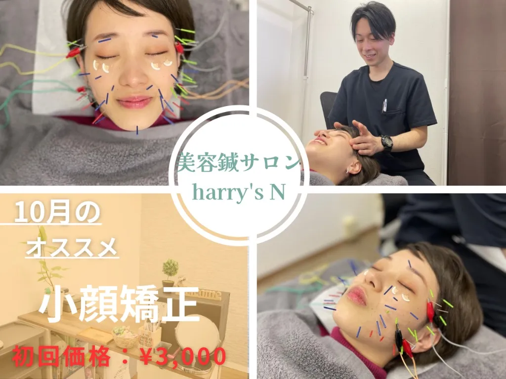 美容鍼サロン　harry's N