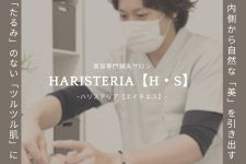 【メリハリ小顔・透明美肌】お顔の美容専門サロン-ハリステリア-≪H・S≫