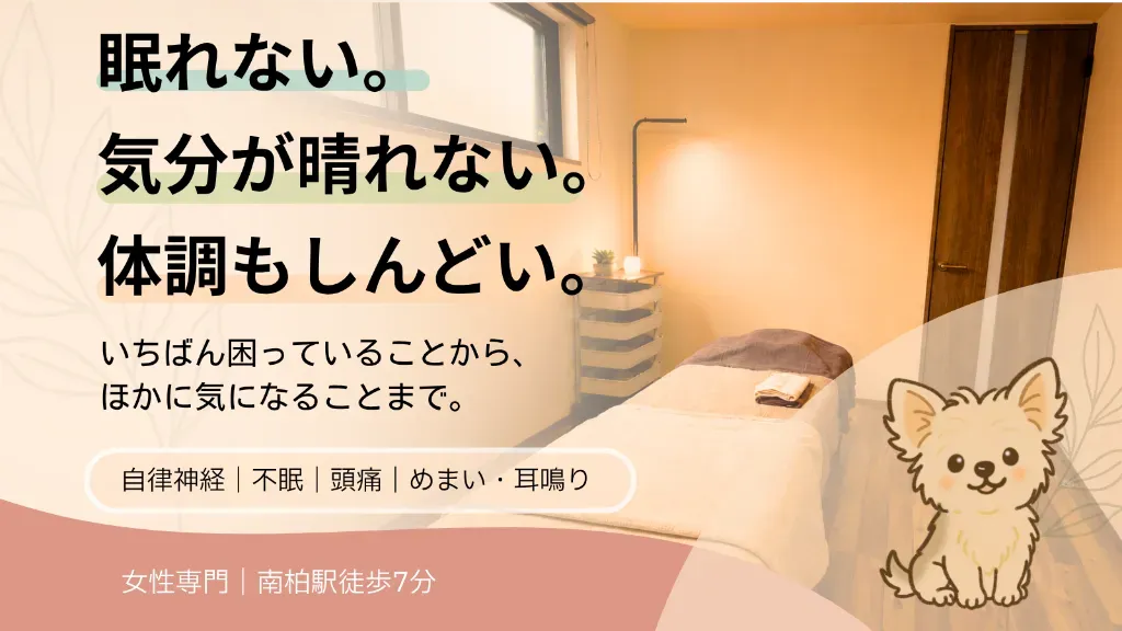 はりきゅう こま