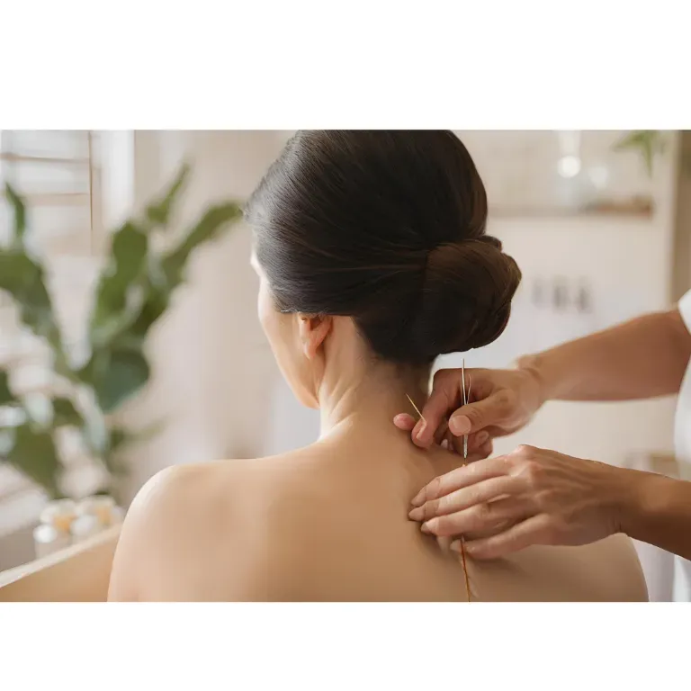 soie.  (r7年12月21日　open)