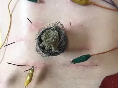 中村鍼灸按摩マッサージ院