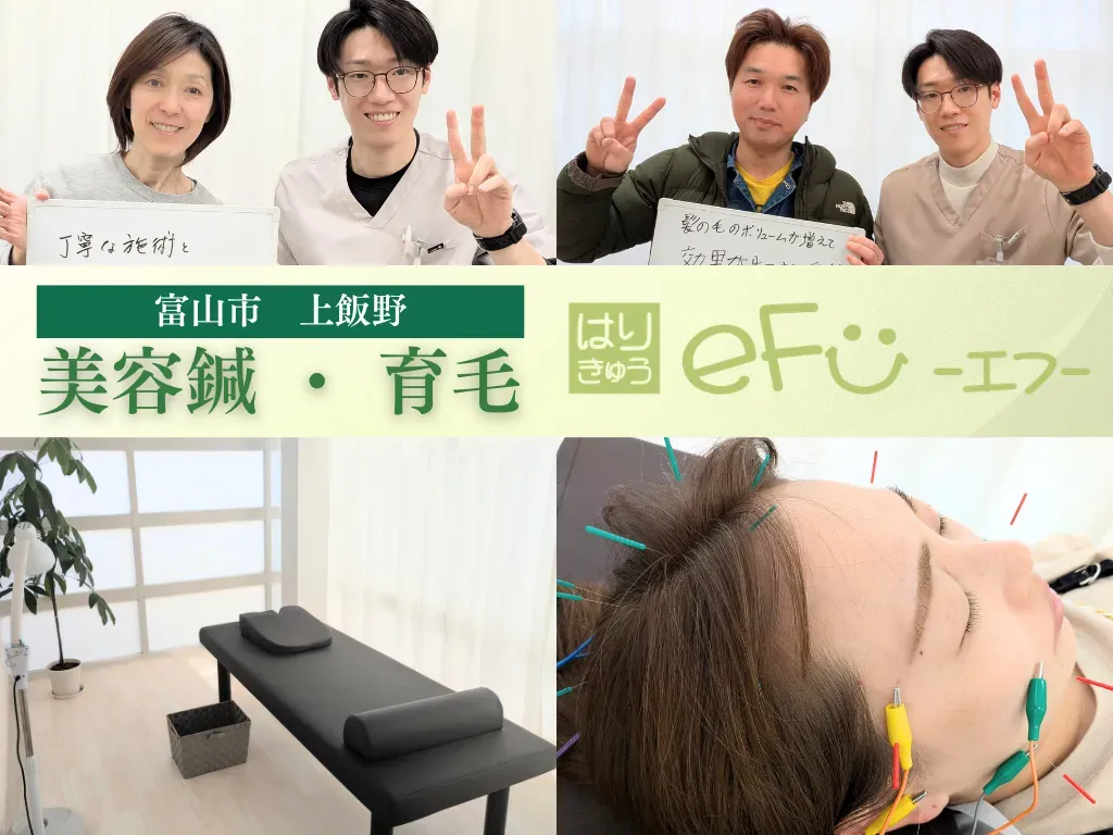 【美容鍼・育毛鍼】はりきゅうeFu-エフ-