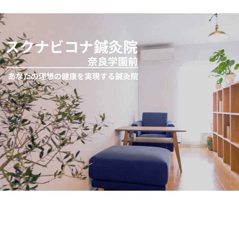 スクナビコナ鍼灸院 奈良学園前