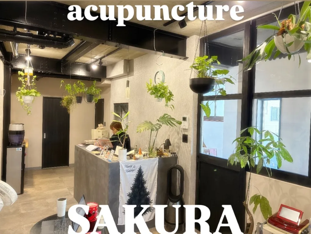 はりきゅう院さくら