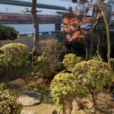 ひまわり鍼灸マッサージ院