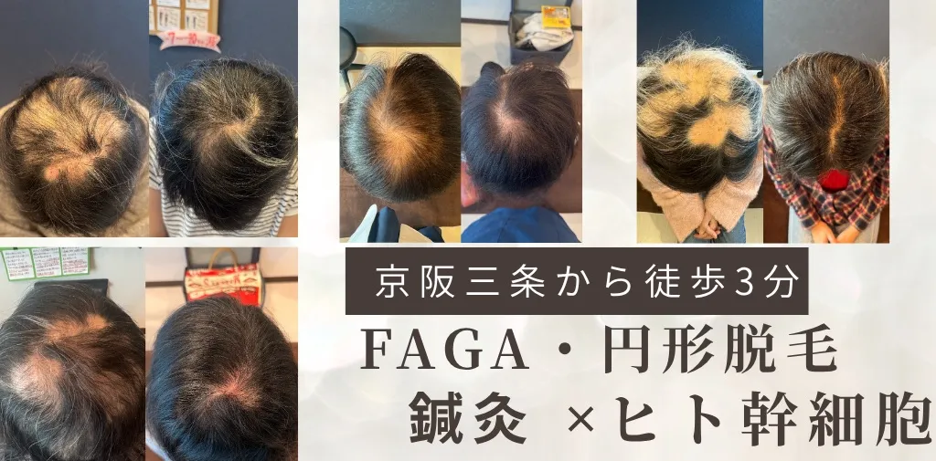 樹はりきゅう・整体院