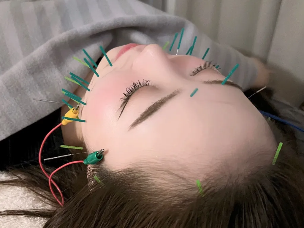 美容鍼灸サロンHaripure