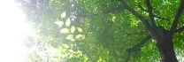 佐伯鍼灸治療院