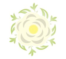白牡丹はりきゅう院