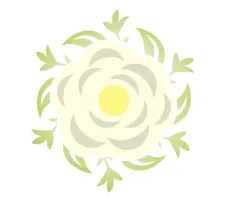 白牡丹はりきゅう院