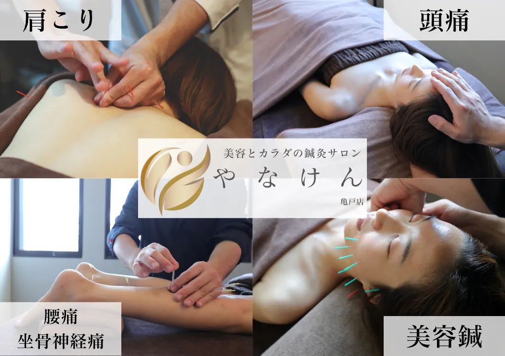 美容とカラダの鍼灸サロン やなけん 亀戸店