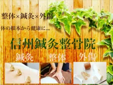 信州鍼灸整骨院