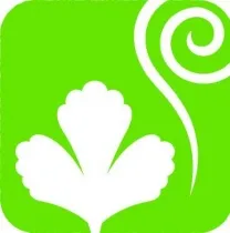 吉村はりきゅう治療院