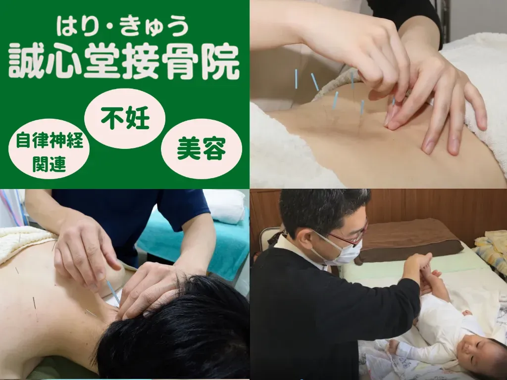 はりきゅう誠心堂接骨院