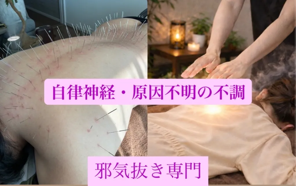 鍼処NAKAGAWA  邪気抜き専門（薄毛・自律神経・原因不明の不調）