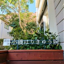 小磯はりきゅう院
