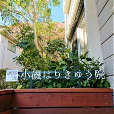 小磯はりきゅう院