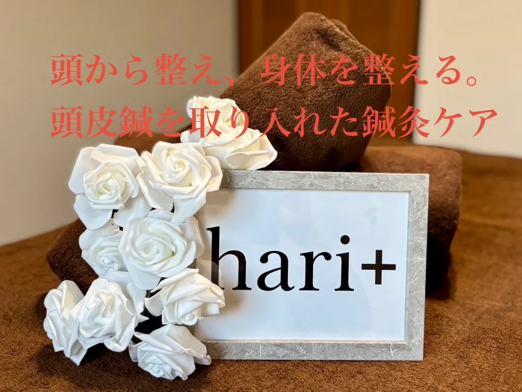 hari+鍼灸治療院