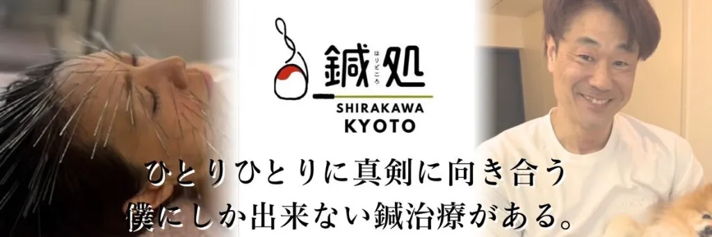 鍼処SHIRAKAWA京都院　(ルート治療専門院)