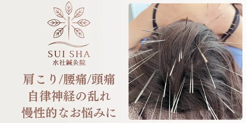 水社-SUI SHA-鍼灸院 　ルート治療