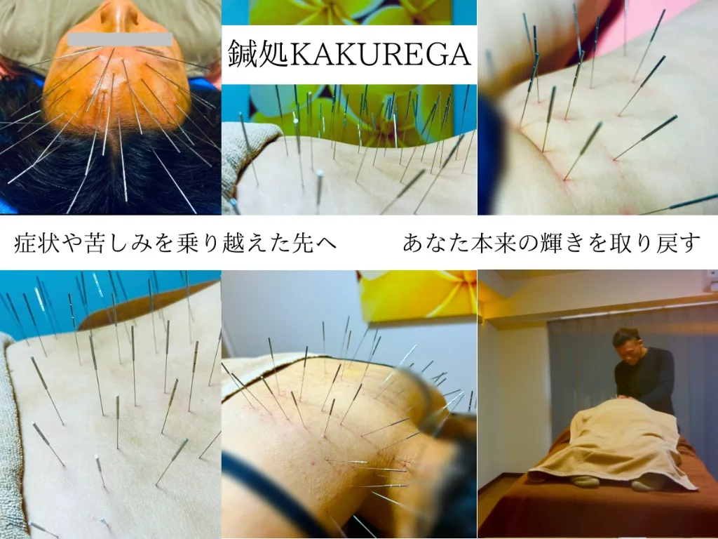 鍼処KAKUREGA