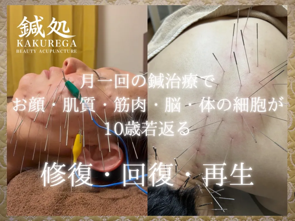 鍼処KAKUREGA