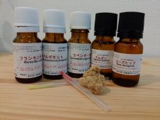 kokokara鍼灸Prana