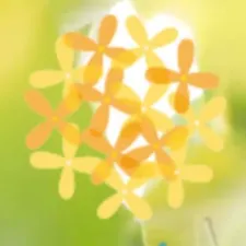 kinmokusei鍼灸治療院