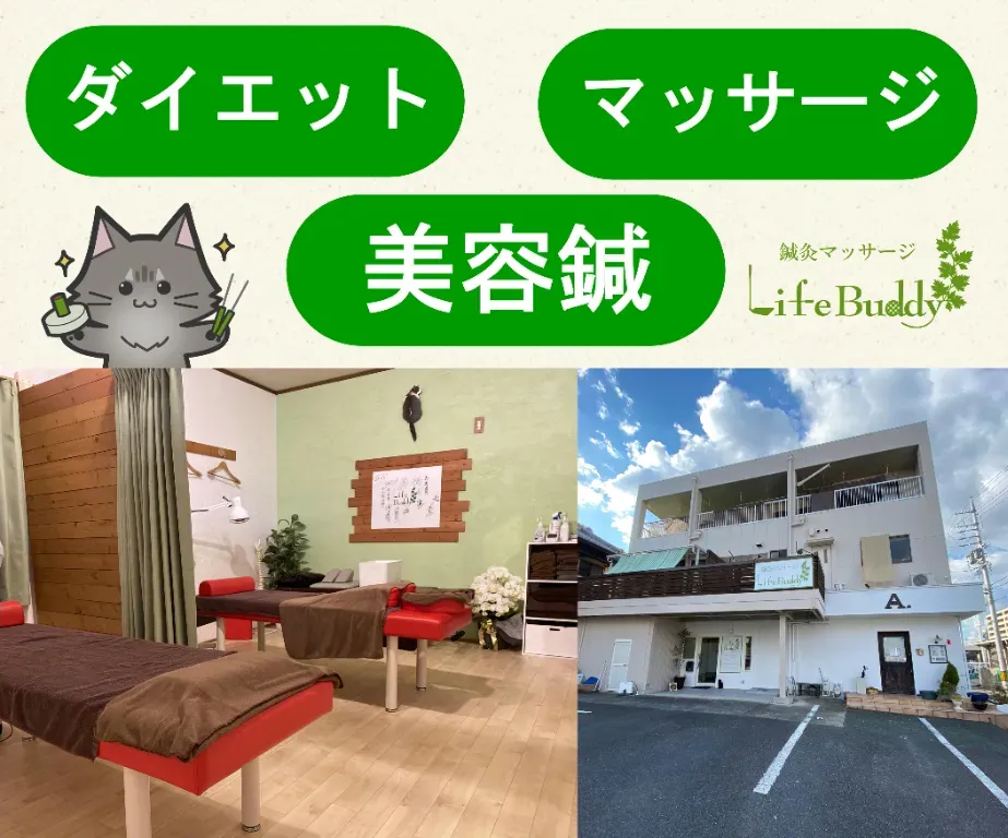 鍼灸マッサージLifeBuddy