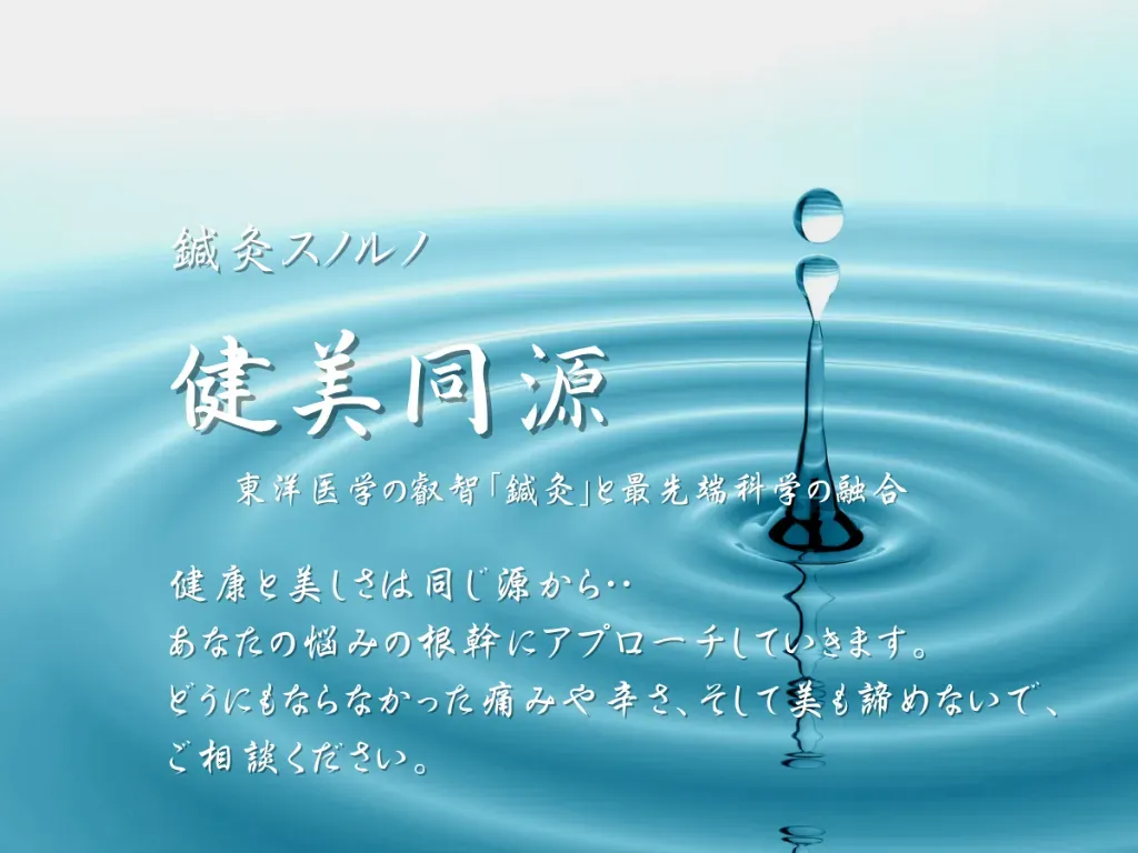 鍼灸　スノルノ