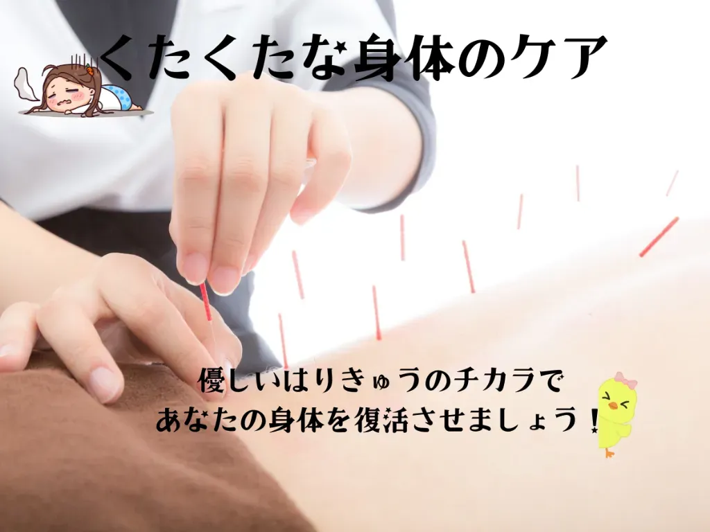 鍼灸　スノルノ