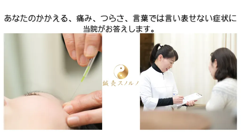 鍼灸　スノルノ