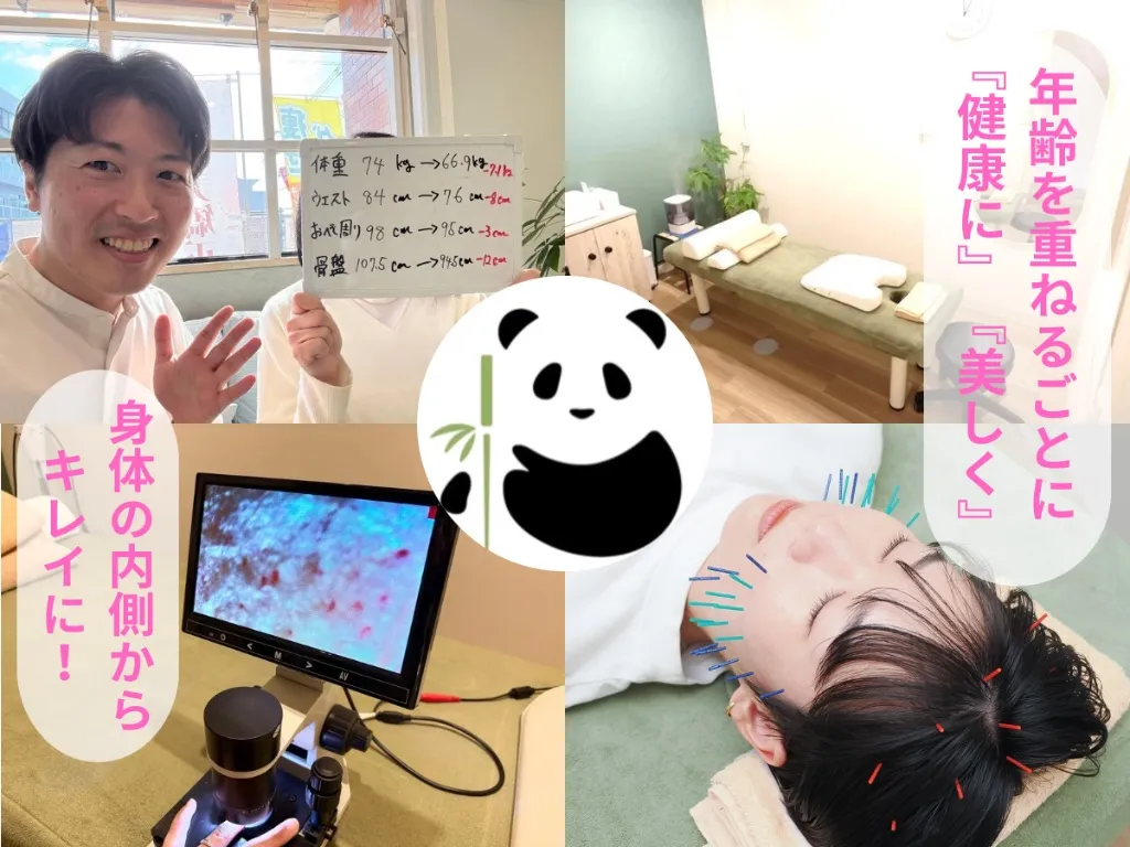 Panda鍼灸整体院(パンダ鍼灸整体院)ダイエット・美容鍼・育毛鍼