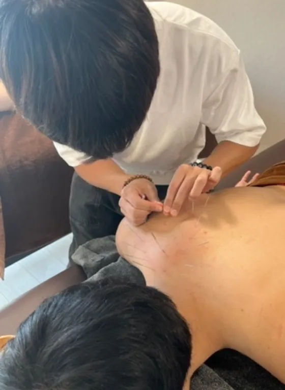 鍼処SHIRAKAWA 高崎院　-群馬ルート治療専門院-