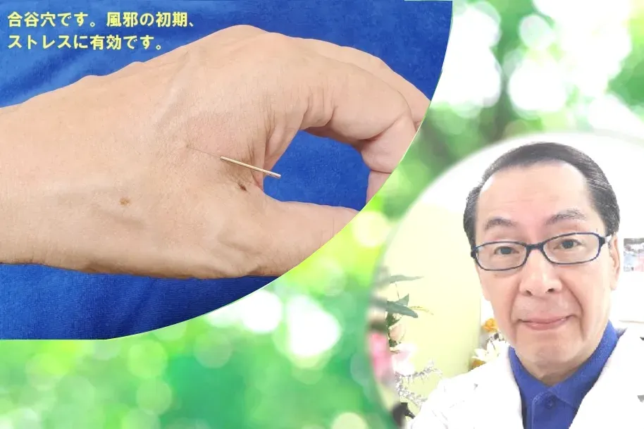 少数鍼 橋本鍼灸院