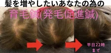 京田辺えーる鍼灸整骨院