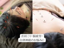 鍼灸サロンSerenite目黒